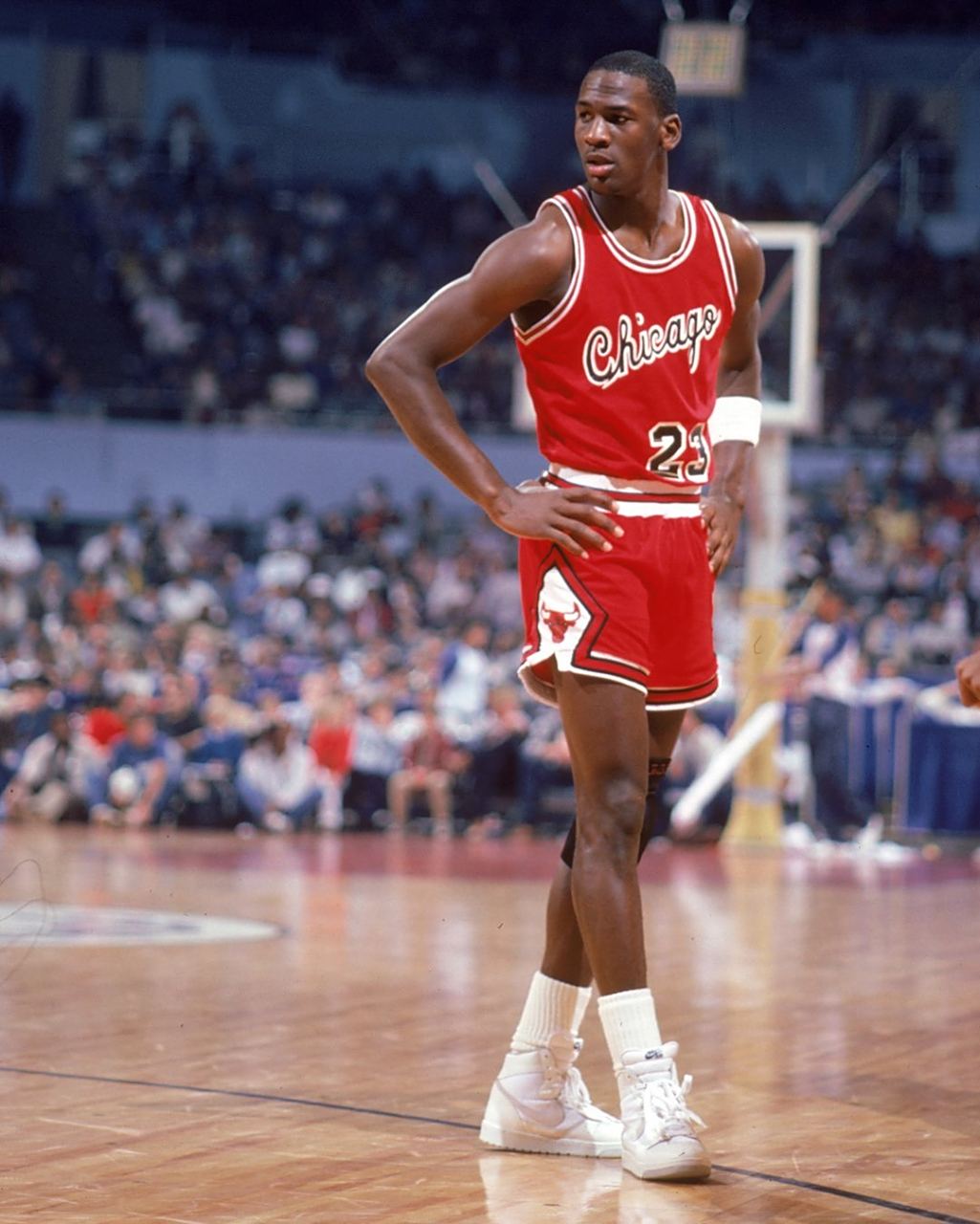 这种敏捷的 这种敏捷的