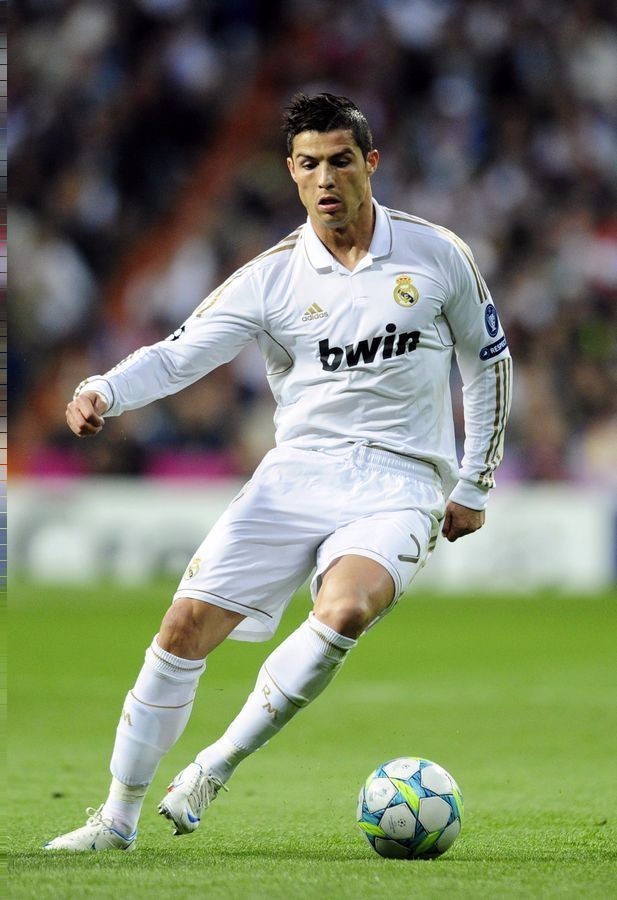 至冠军归属 至冠军归属